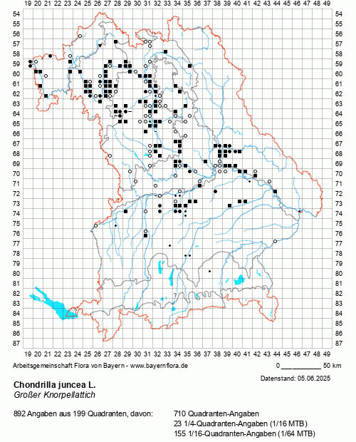 Die Verbreitungskarte zu Chondrilla juncea L. wird geladen ...