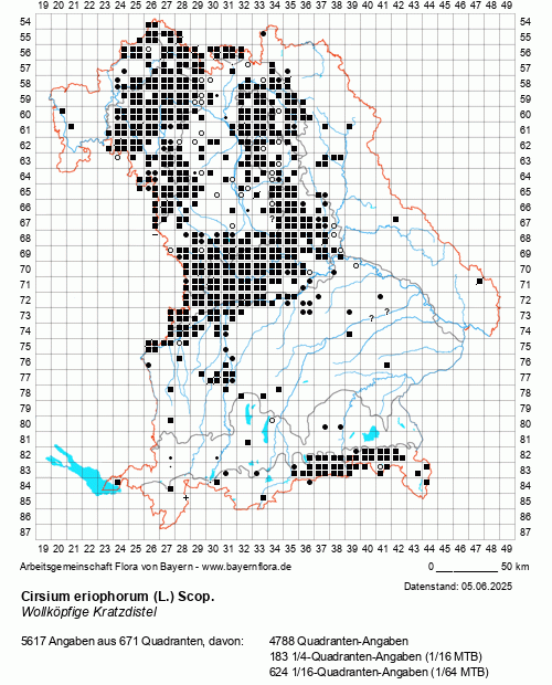 Die Verbreitungskarte zu Cirsium eriophorum (L.) Scop. wird geladen ...