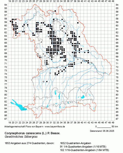 Die Verbreitungskarte zu Corynephorus canescens (L.) P. Beauv. wird geladen ...