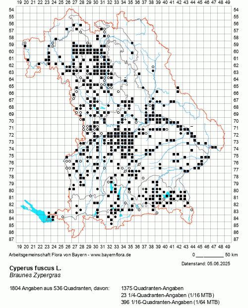 Die Verbreitungskarte zu Cyperus fuscus L. wird geladen ...
