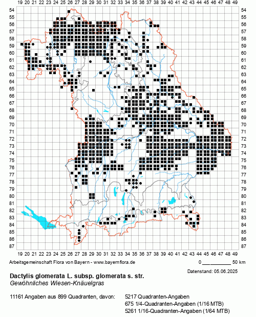 Die Verbreitungskarte zu Dactylis glomerata L. subsp. glomerata s. str. wird geladen ...