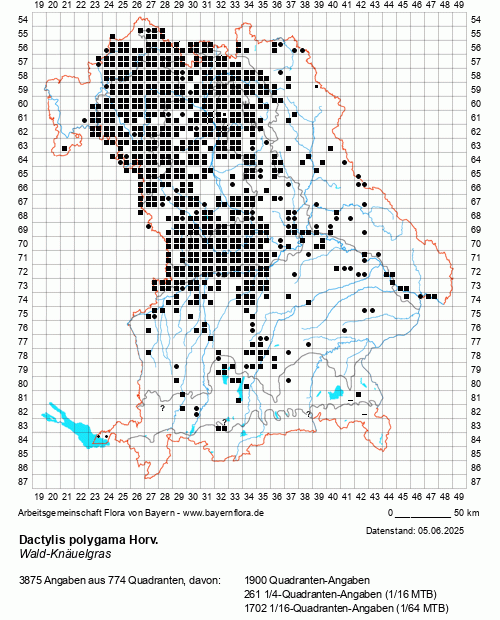 Die Verbreitungskarte zu Dactylis polygama Horv. wird geladen ...