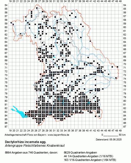 Die Verbreitungskarte zu Dactylorhiza incarnata agg. wird geladen ...