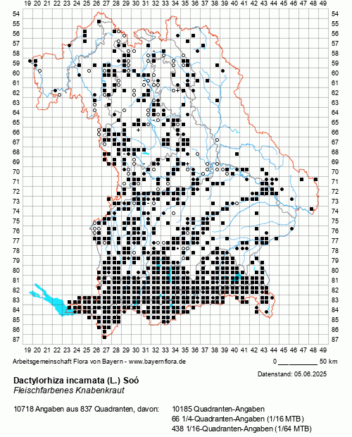 Die Verbreitungskarte zu Dactylorhiza incarnata (L.) Soó wird geladen ...