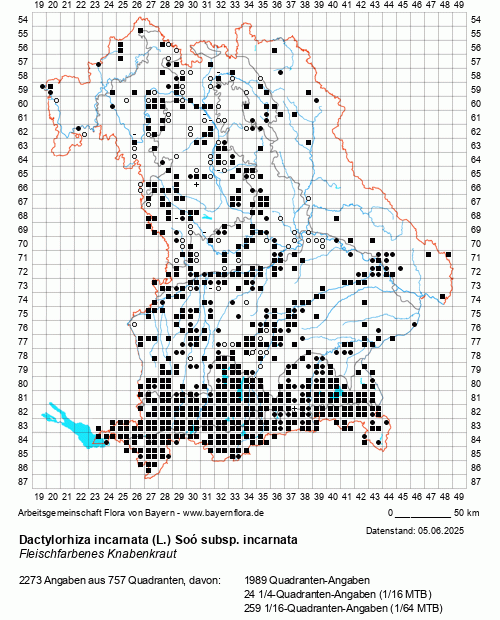 Die Verbreitungskarte zu Dactylorhiza incarnata (L.) Soó subsp. incarnata wird geladen ...
