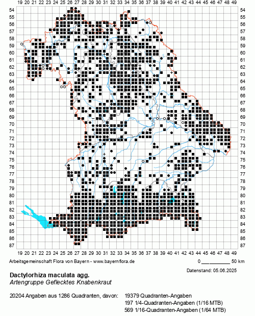 Die Verbreitungskarte zu Dactylorhiza maculata agg. wird geladen ...