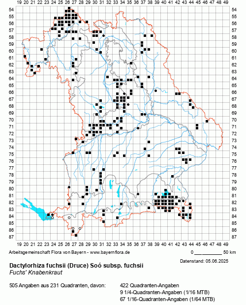 Die Verbreitungskarte zu Dactylorhiza fuchsii (Druce) Soó subsp. fuchsii wird geladen ...