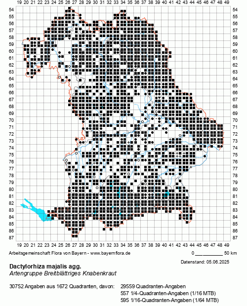 Die Verbreitungskarte zu Dactylorhiza majalis agg. wird geladen ...