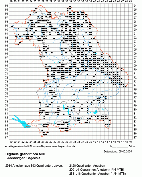 Die Verbreitungskarte zu Digitalis grandiflora Mill. wird geladen ...