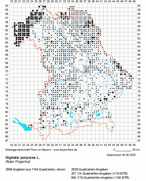 Die Verbreitungskarte zu Digitalis purpurea L. wird geladen ...