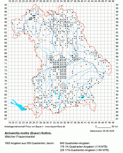 Die Verbreitungskarte zu Alchemilla mollis (Buser) Rothm. wird geladen ...