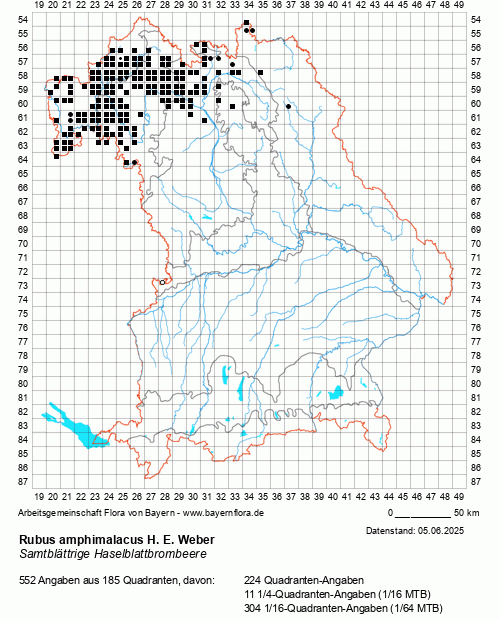 Die Verbreitungskarte zu Rubus amphimalacus H. E. Weber wird geladen ...