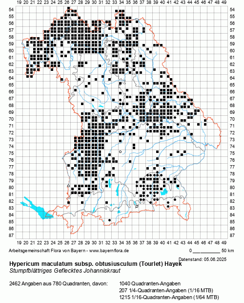Die Verbreitungskarte zu Hypericum maculatum subsp. obtusiusculum (Tourlet) Hayek wird geladen ...