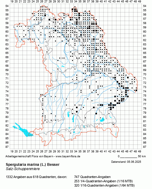 Die Verbreitungskarte zu Spergularia marina (L.) Besser wird geladen ...