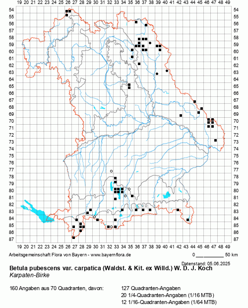 Die Verbreitungskarte zu Betula pubescens var. carpatica (Waldst. & Kit. ex Willd.) W. D. J. Koch wird geladen ...