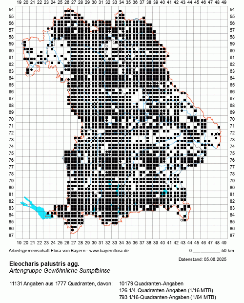 Die Verbreitungskarte zu Eleocharis palustris agg. wird geladen ...
