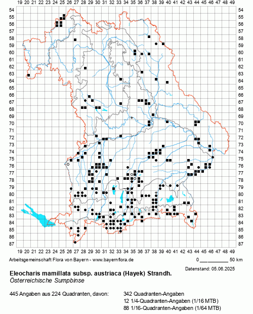 Die Verbreitungskarte zu Eleocharis mamillata subsp. austriaca (Hayek) Strandh. wird geladen ...