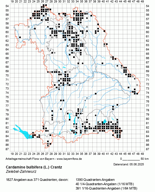 Die Verbreitungskarte zu Cardamine bulbifera (L.) Crantz wird geladen ...