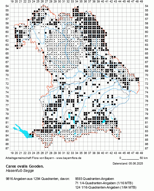 Die Verbreitungskarte zu Carex ovalis Gooden. wird geladen ...