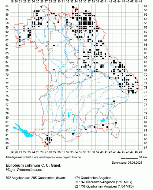Die Verbreitungskarte zu Epilobium collinum C. C. Gmel. wird geladen ...