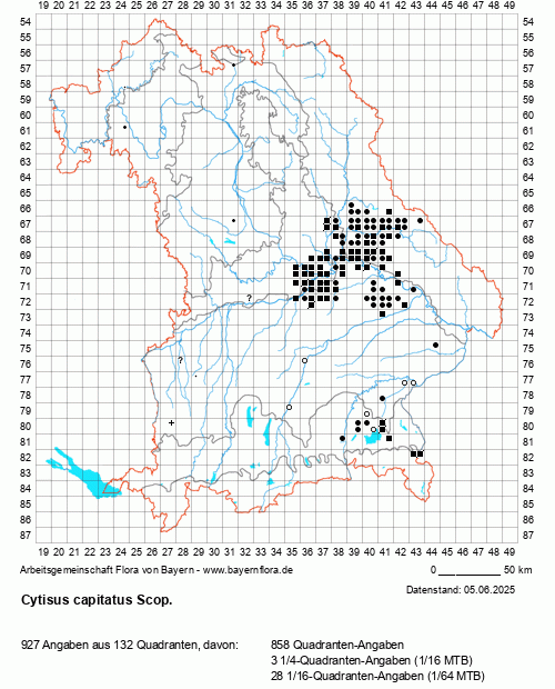 Die Verbreitungskarte zu Cytisus capitatus Scop. wird geladen ...