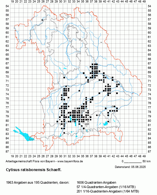 Die Verbreitungskarte zu Cytisus ratisbonensis Schaeff. wird geladen ...