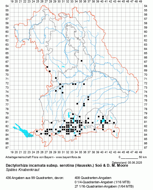 Die Verbreitungskarte zu Dactylorhiza incarnata subsp. serotina (Hausskn.) Soó & D. M. Moore wird geladen ...