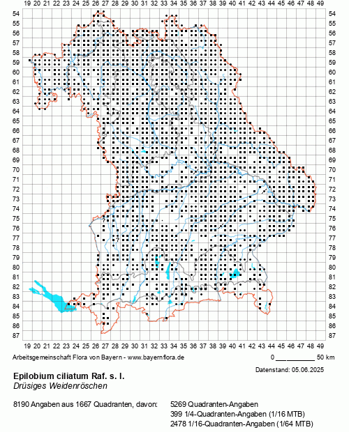 Die Verbreitungskarte zu Epilobium ciliatum Raf. s. l. wird geladen ...