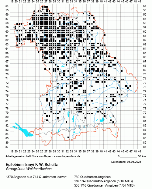 Die Verbreitungskarte zu Epilobium lamyi F. W. Schultz wird geladen ...