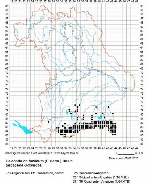 Die Verbreitungskarte zu Galeobdolon flavidum (F. Herm.) Holub wird geladen ...