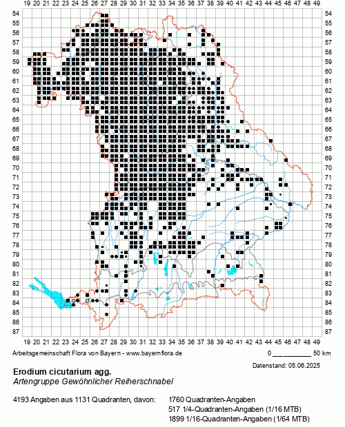 Die Verbreitungskarte zu Erodium cicutarium agg. wird geladen ...