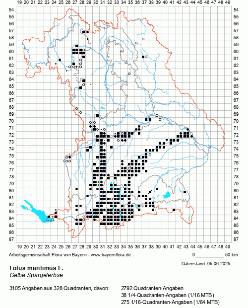 Die Verbreitungskarte zu Lotus maritimus L. wird geladen ...