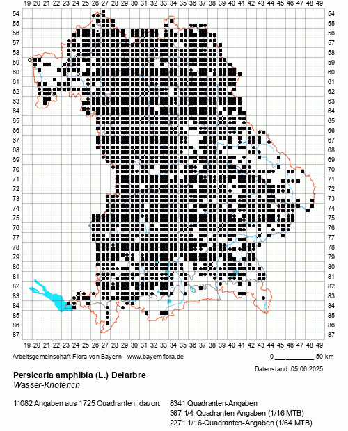 Die Verbreitungskarte zu Persicaria amphibia (L.) Delarbre wird geladen ...