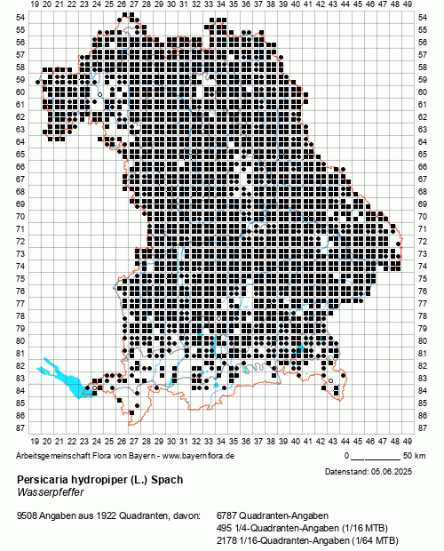 Die Verbreitungskarte zu Persicaria hydropiper (L.) Spach wird geladen ...