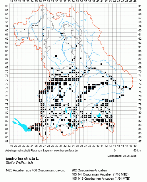 Die Verbreitungskarte zu Euphorbia stricta L. wird geladen ...