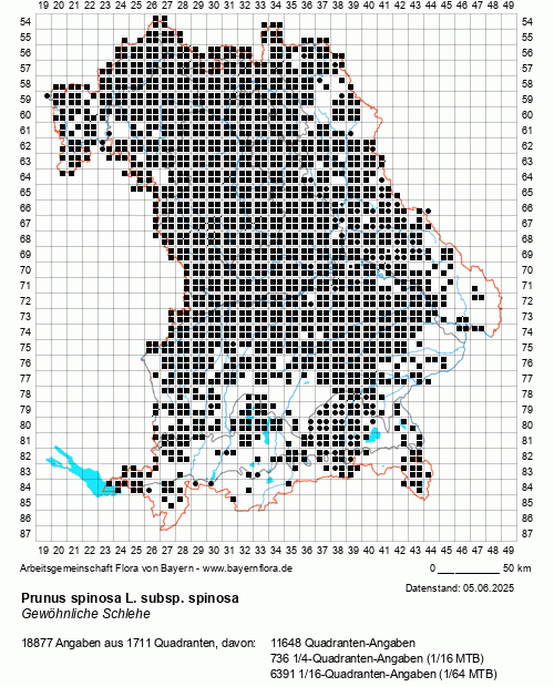 Die Verbreitungskarte zu Prunus spinosa L. subsp. spinosa wird geladen ...