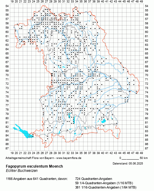 Die Verbreitungskarte zu Fagopyrum esculentum Moench wird geladen ...