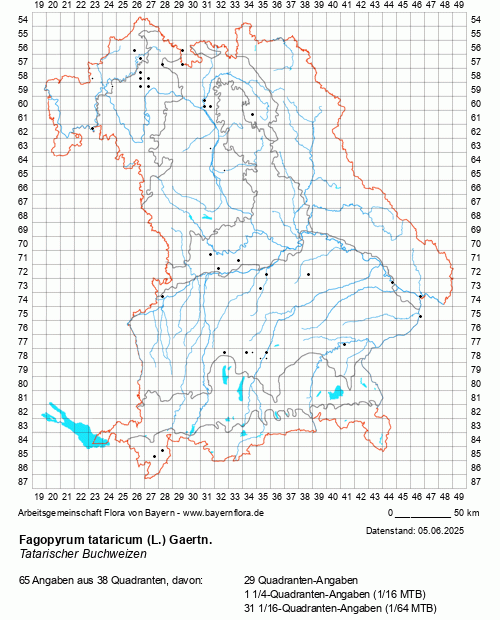 Die Verbreitungskarte zu Fagopyrum tataricum (L.) Gaertn. wird geladen ...