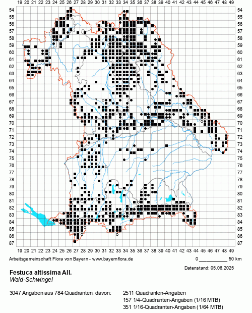 Die Verbreitungskarte zu Festuca altissima All. wird geladen ...