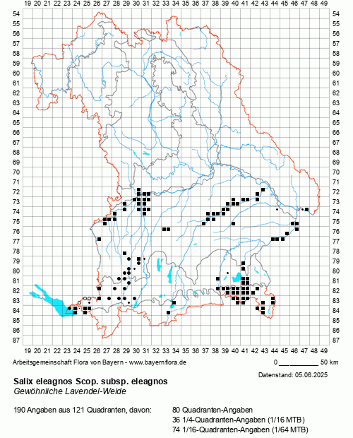 Die Verbreitungskarte zu Salix eleagnos Scop. subsp. eleagnos wird geladen ...