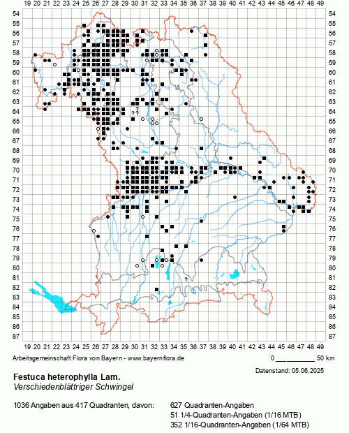 Die Verbreitungskarte zu Festuca heterophylla Lam. wird geladen ...