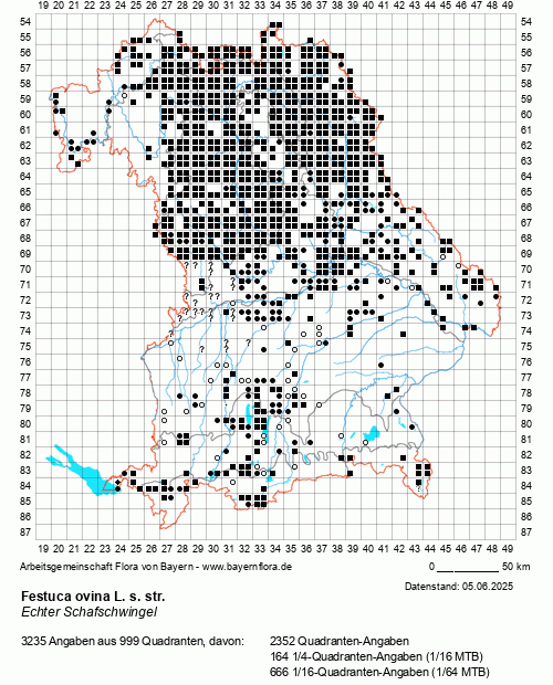 Die Verbreitungskarte zu Festuca ovina L. s. str. wird geladen ...