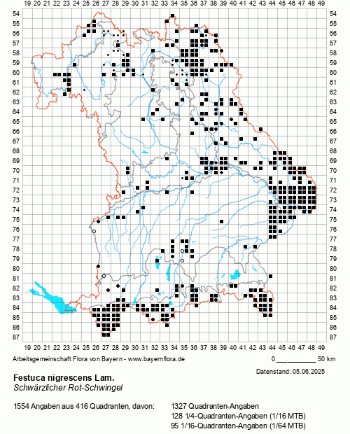 Die Verbreitungskarte zu Festuca nigrescens Lam. wird geladen ...