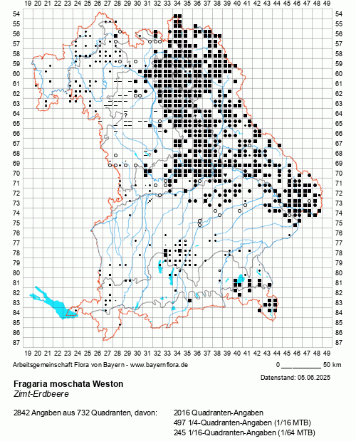 Die Verbreitungskarte zu Fragaria moschata Weston wird geladen ...