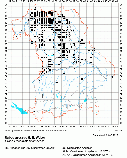 Die Verbreitungskarte zu Rubus grossus H. E. Weber wird geladen ...