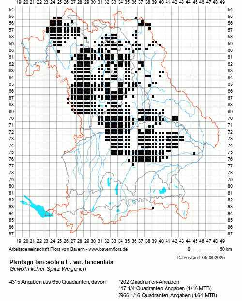 Die Verbreitungskarte zu Plantago lanceolata L. var. lanceolata wird geladen ...