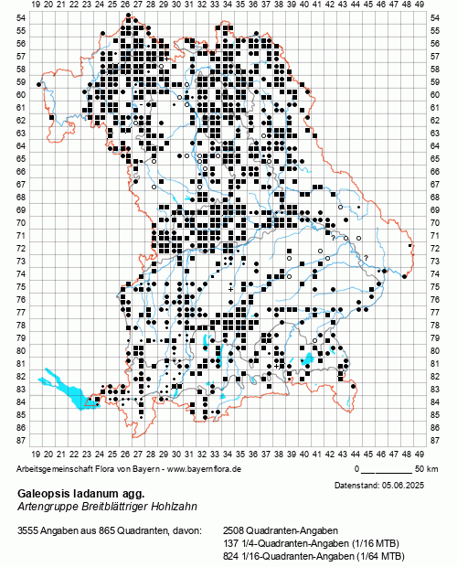 Die Verbreitungskarte zu Galeopsis ladanum agg. wird geladen ...