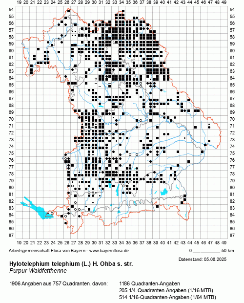 Die Verbreitungskarte zu Hylotelephium telephium (L.) H. Ohba s. str. wird geladen ...