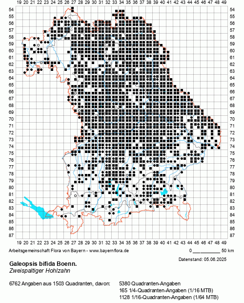 Die Verbreitungskarte zu Galeopsis bifida Boenn. wird geladen ...
