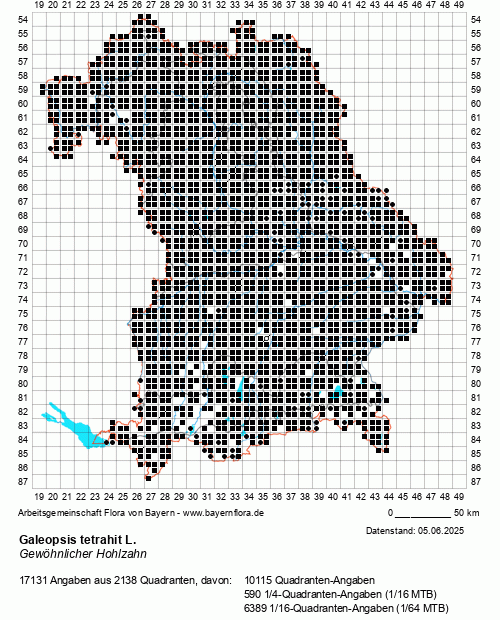 Die Verbreitungskarte zu Galeopsis tetrahit L. wird geladen ...